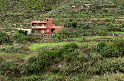 Houses on field