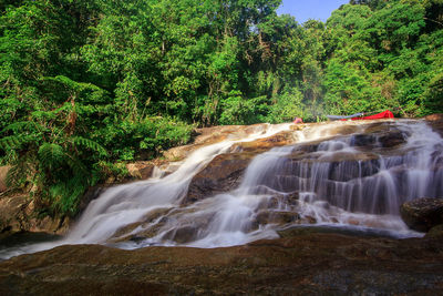 Scenic view of waterfall in forest