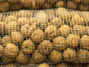 Walnuts in transparent net