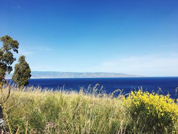 Scenic view of sea against blue sky