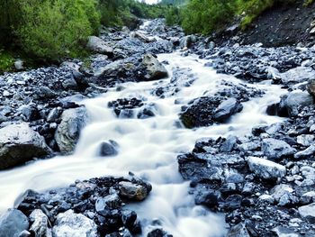 Scenic view of waterfall in forest