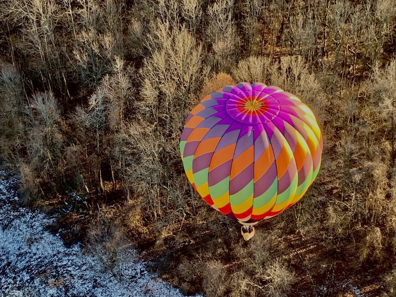 MULTI COLORED HOT AIR BALLOON FLYING OVER LAND