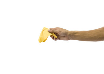 Close-up of hand holding leaf over white background