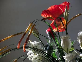 Low angle view of flowers against sky