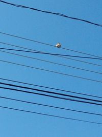 Low angle view of birds perching on cable