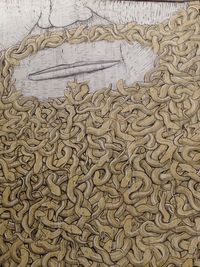Close-up of pattern