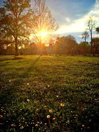 Scenic view of grassy field against sky at sunset