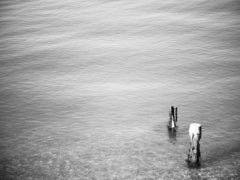 Rear view of man in sea