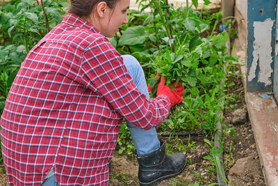 Rear view of man standing by plants