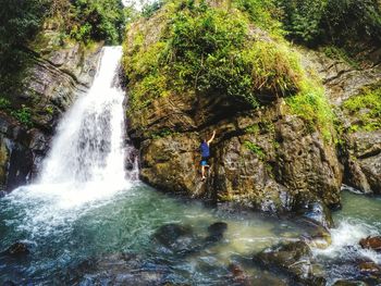 Waterfall in forest