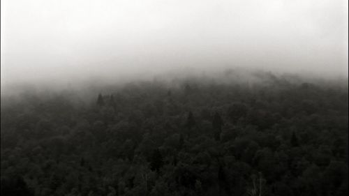 Scenic view of landscape in foggy weather