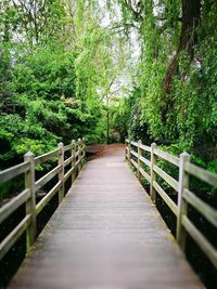 Footbridge amidst trees