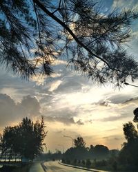 Silhouette trees against sky during sunset