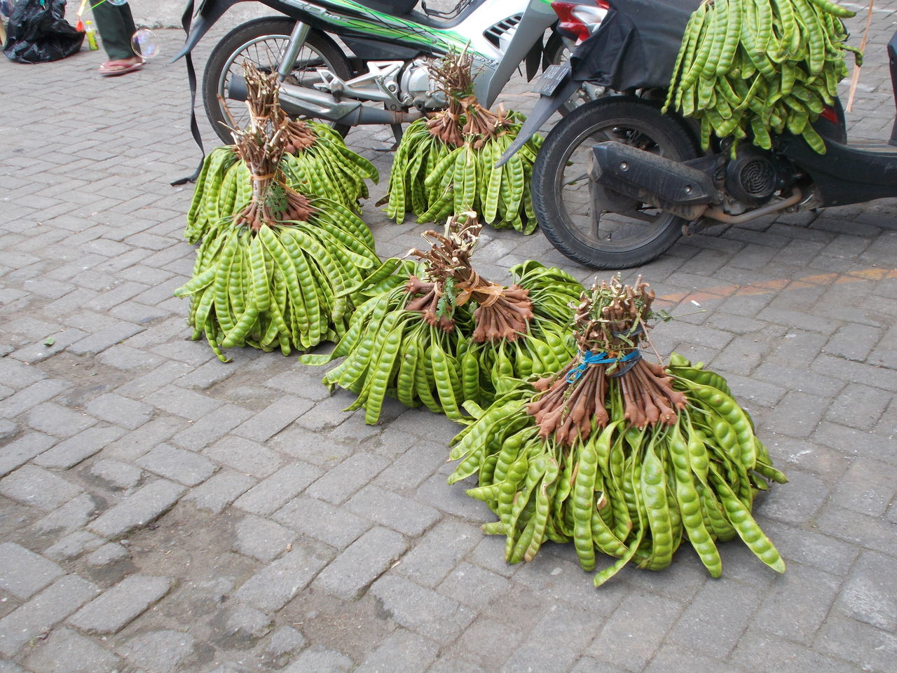 Fruit seed