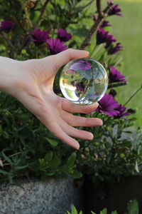 Close-up of person holding glass