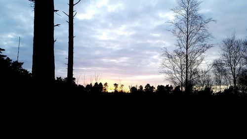 Silhouette trees against sky during sunset