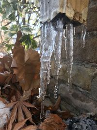 Low angle view of icicles