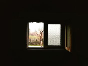 Plants seen through window of house