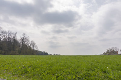 Scenic view of field against sky