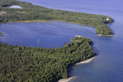 High angle view of trees on land