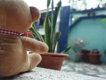 Close-up of stuffed toy on table