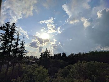 Low angle view of trees against sky