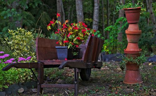 Potted plants in garden