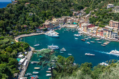 Panorama of portofino seaside bay area with traditional houses, view from castello brown,  italy