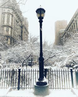 Street light and bare trees during winter