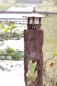 Close-up of birdhouse on tree trunk