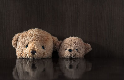 Close-up of stuffed toy against black background