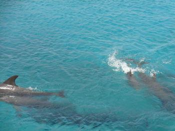 High angle view of swimming pool in sea