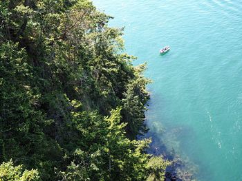 High angle view of trees by sea