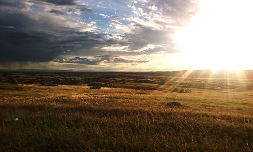 Scenic view of field against sky during sunset