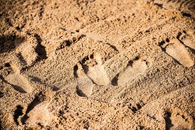 High angle view of footprints on sand at beach