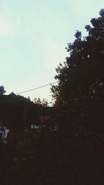 Low angle view of silhouette trees against sky