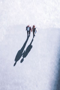 High angle view of people walking on zebra crossing