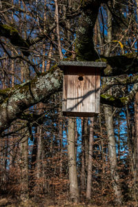 Low angle view of birdhouse hanging on tree