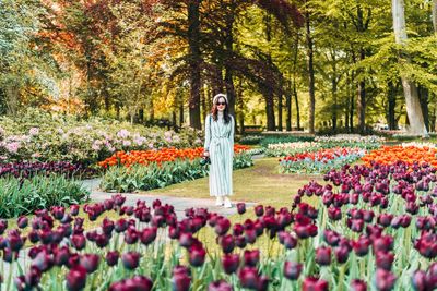 Portrait of man standing by flowering plants in park