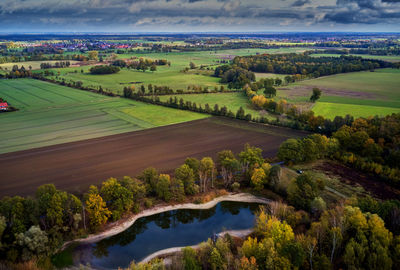 High angle view of trees on landscape, aerial lake view