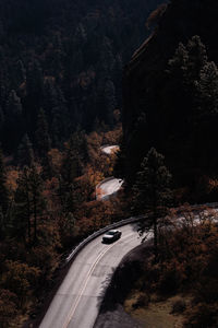 Car on road amidst trees