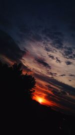 Silhouette of trees at sunset