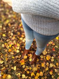 Low section of person standing on autumn leaves