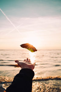 Scenic view of a hand grabbing a sea shell by the sea