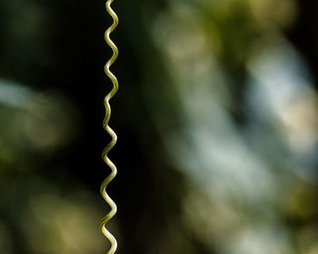 Detail shot of metal fence