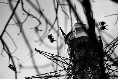 Low angle view of bird perching on plant