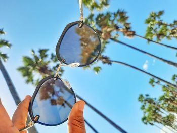 Low angle view of hand holding plant against sky