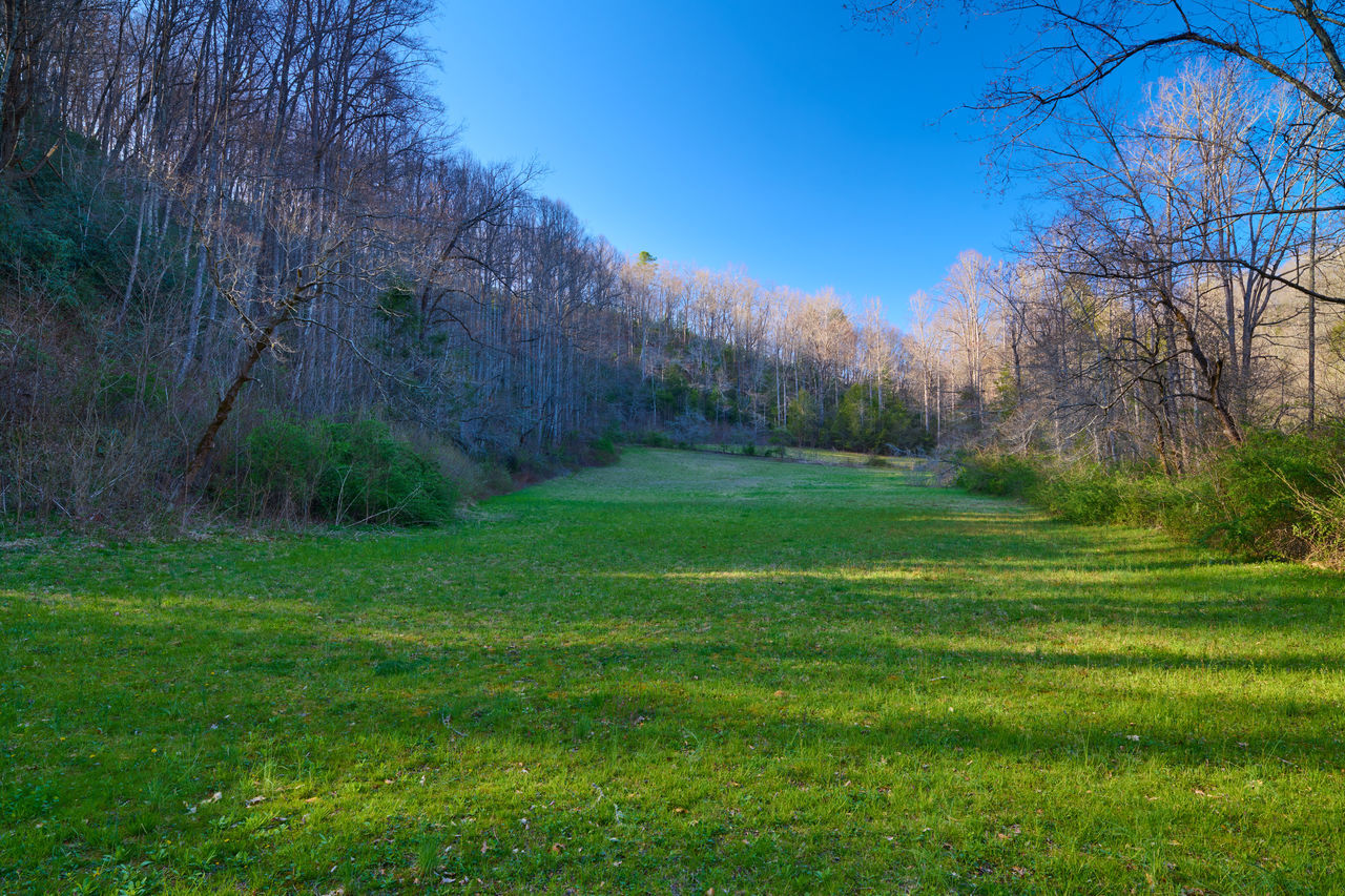 SCENIC VIEW OF LAND AGAINST SKY