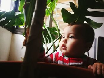 Cute boy looking at plant