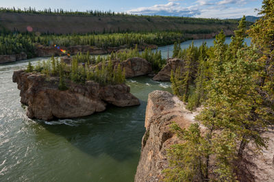 Scenic view of river amidst trees